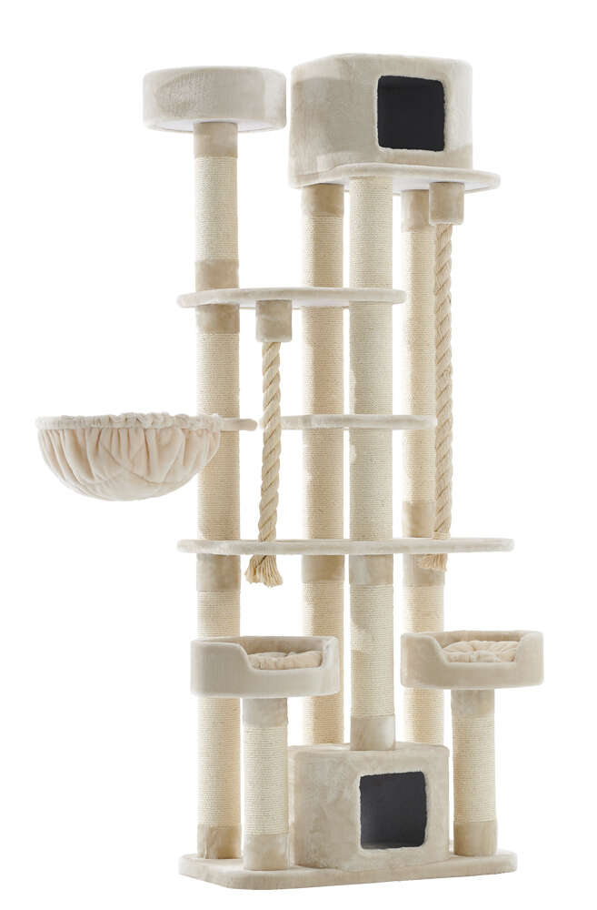 Nobby Kratzbaum Kyla